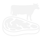 Three founders and team